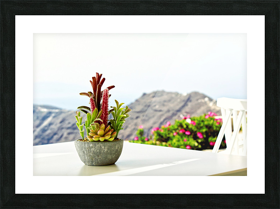  Cactus Picture Frame print