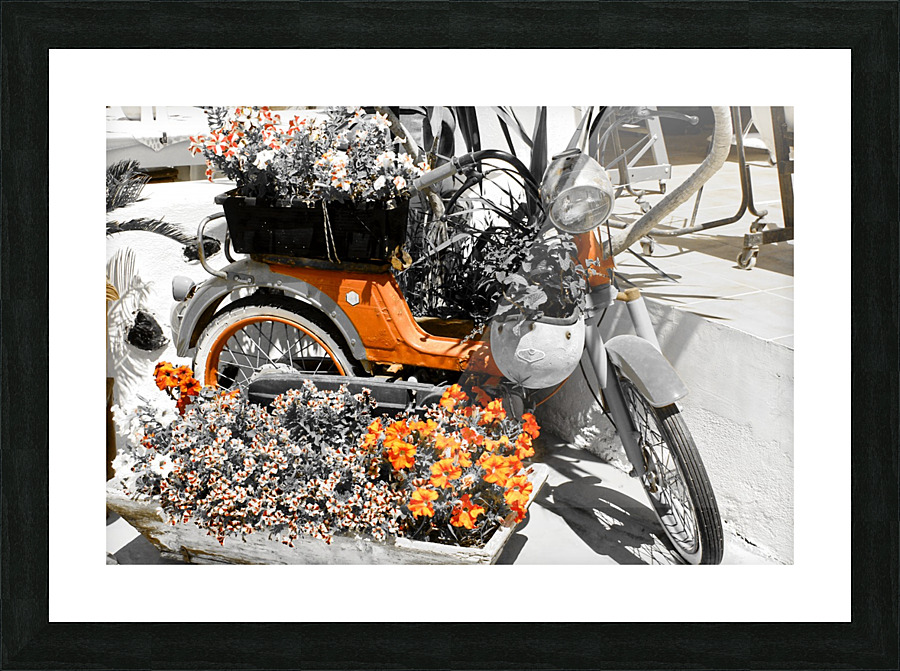 Old style scooter Picture Frame print