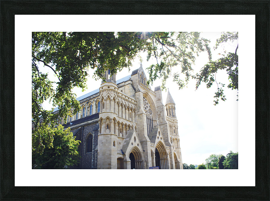 Europe Cathedral Picture Frame print