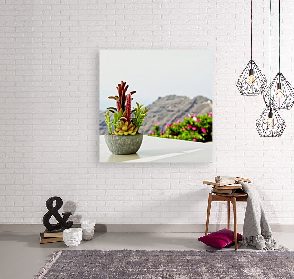  Cactus Reproduction