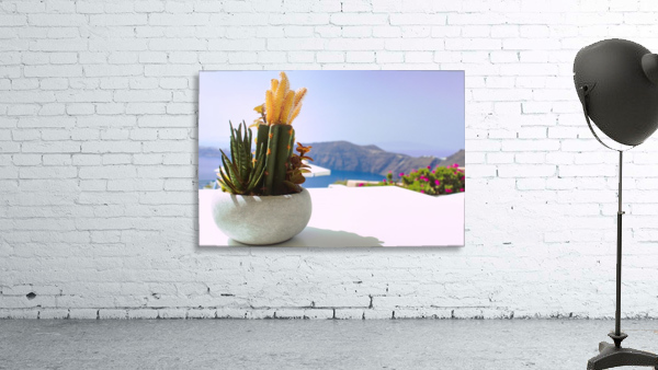 Cactus  Wall Preview