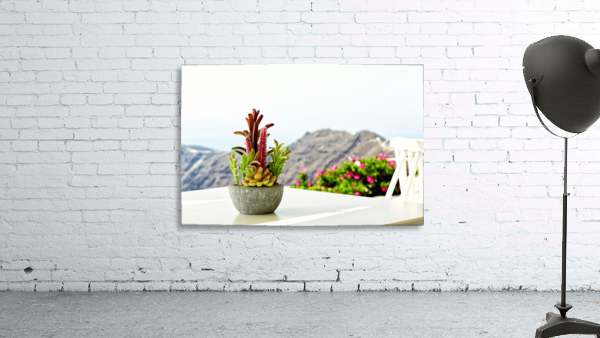 Cactus Wall Preview