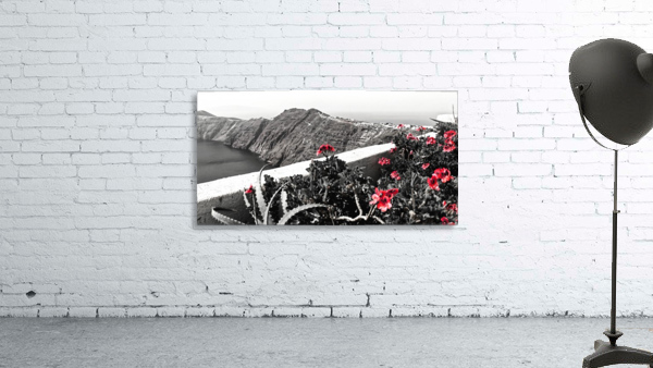 Red Roses Wall Preview