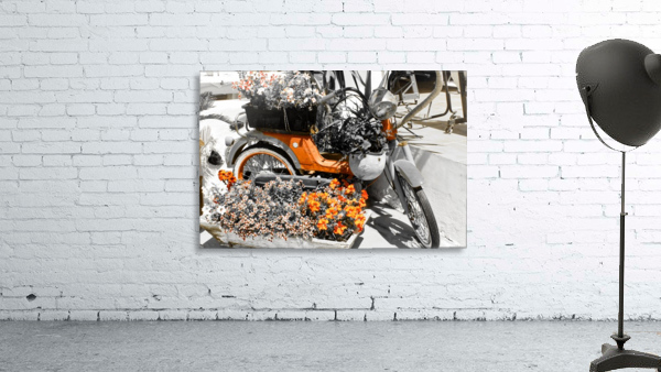 Old style scooter Wall Preview