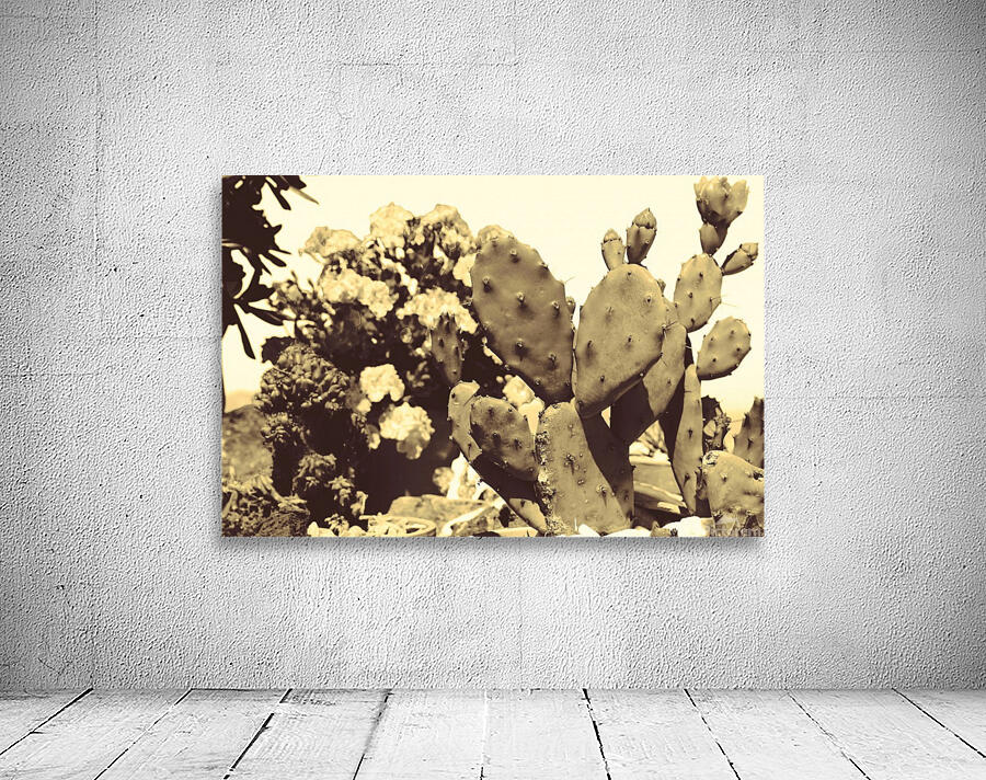Cactus  Wall Preview