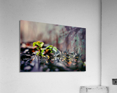 Rebirth Acrylic Print