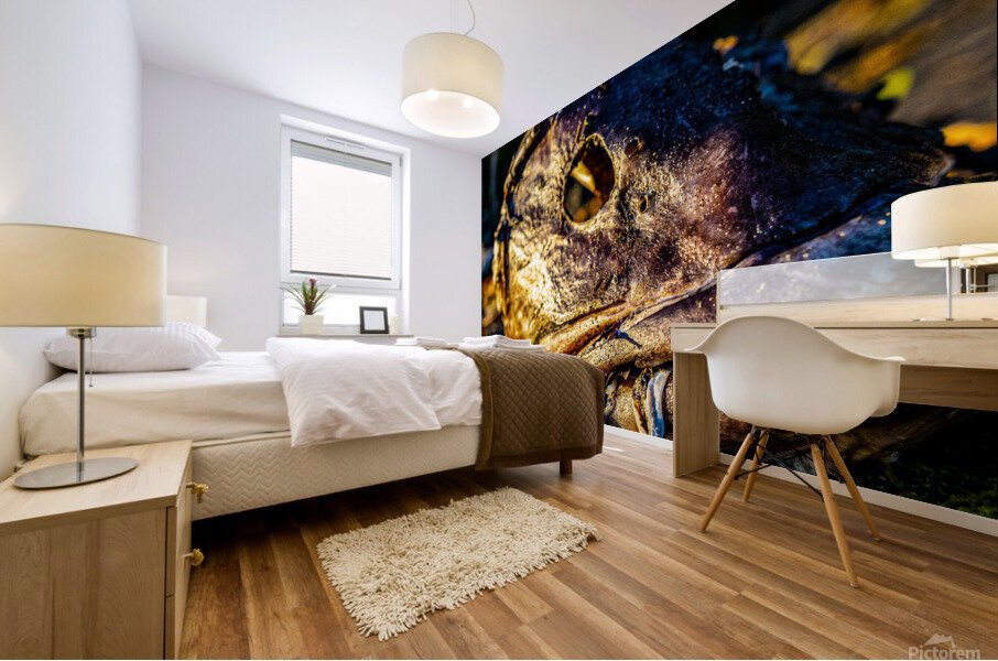 Fish Face Mural print