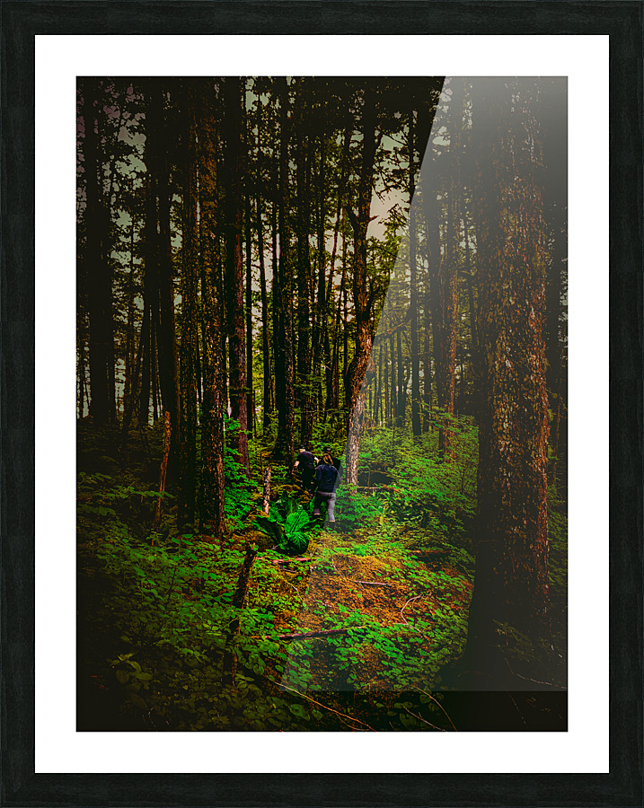 Alaskan Forest Picture Frame print