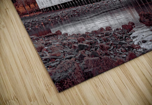 Old Cannery Kenneth White puzzle