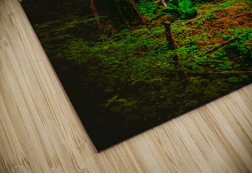 Alaskan Forest Kenneth White puzzle
