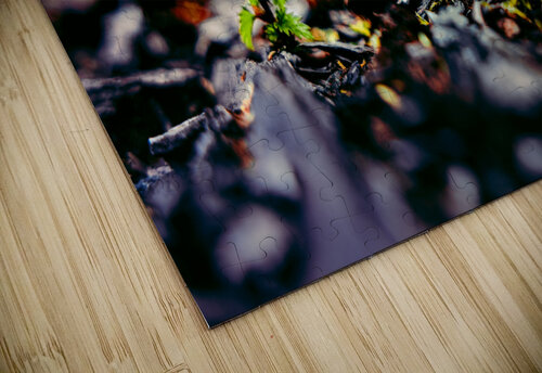 Rebirth Kenneth White puzzle