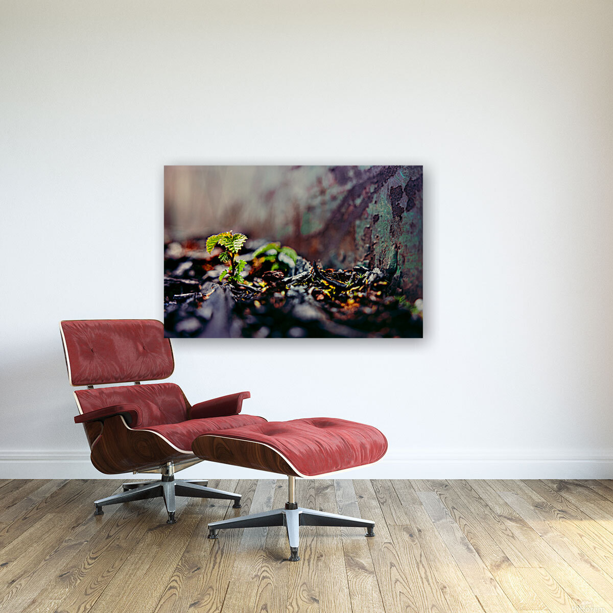 Rebirth Reproduction