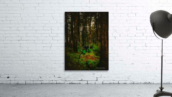 Alaskan Forest Wall Preview
