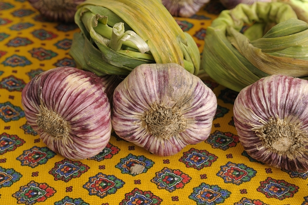 Garlic at the Friday market in Lourmarin Digital Download