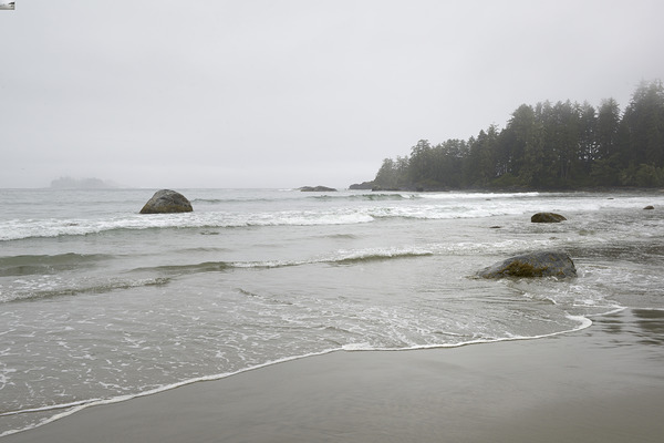 KO B12742 Digital Download