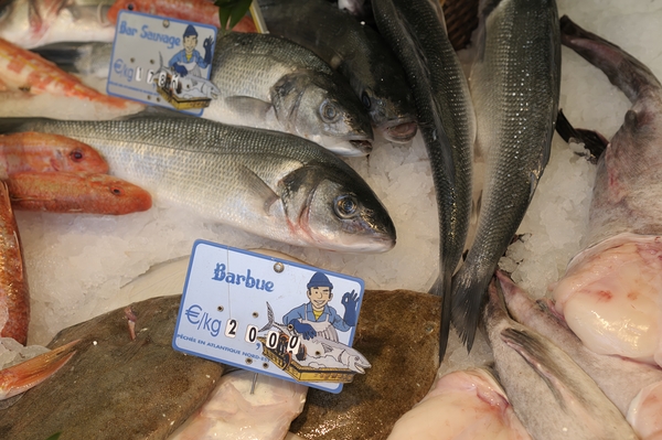 Seafood at the Thursday Market - Boulevard Saint Germain Digital Download