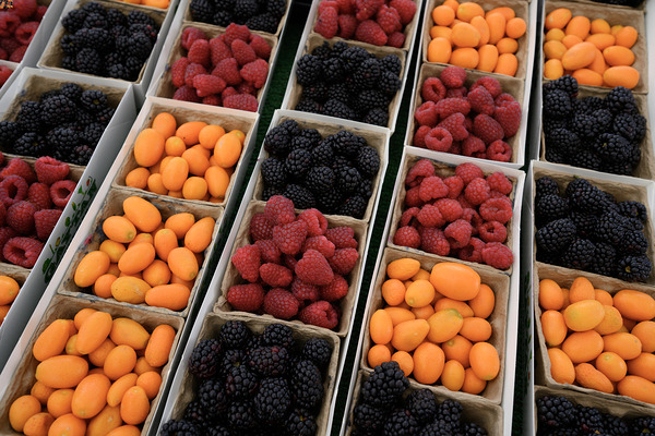 KO D17013 Digital Download