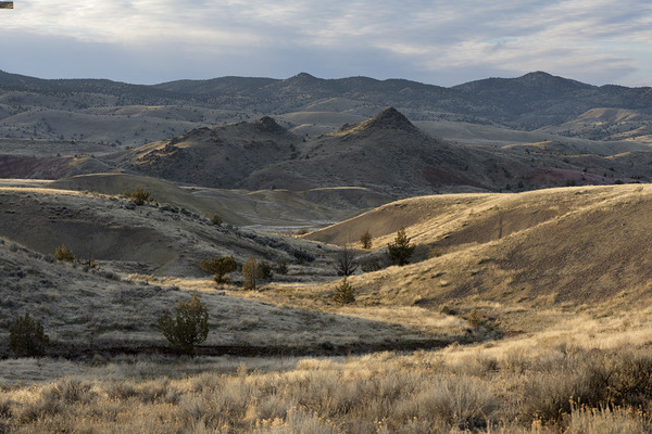 John Day Fossil Beds National Monument Oregon Digital Download