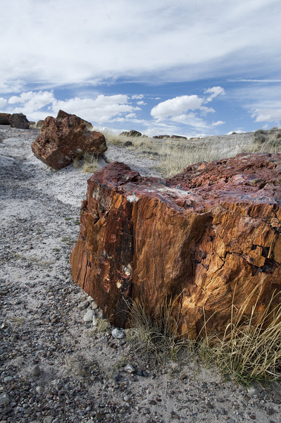 KO A98145 Digital Download