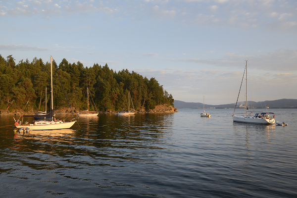 Sailboats at anchor on the west side of Tent Island Digital Download