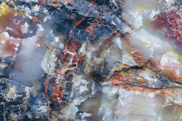 KO A98186 Digital Download