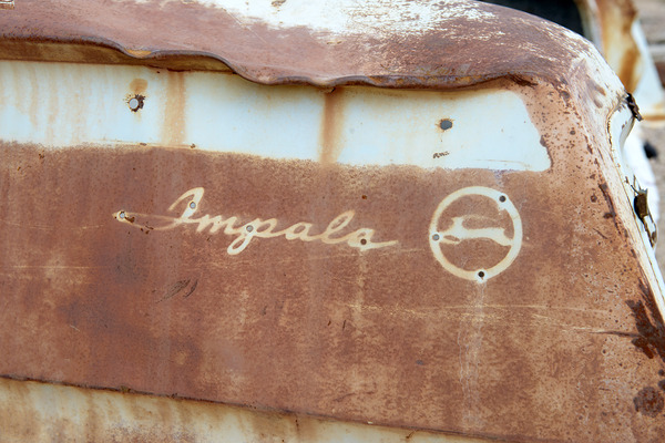 Rhyolite Nevada USA Digital Download