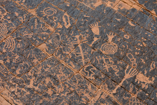 KO D22499 Digital Download