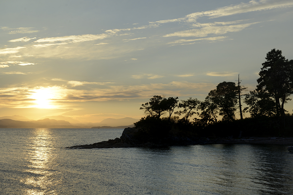 Sunset over Vancouver Island with silhouetted trees Digital Download