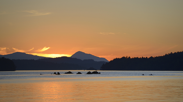 Kayakers near islets at the entrance to Princess Bay Digital Download