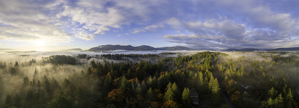 Spring Rays - Vancouver Island Digital Download