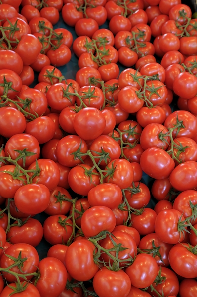 Tomatos at the Thursday Market - Boulevard Saint Germain Digital Download