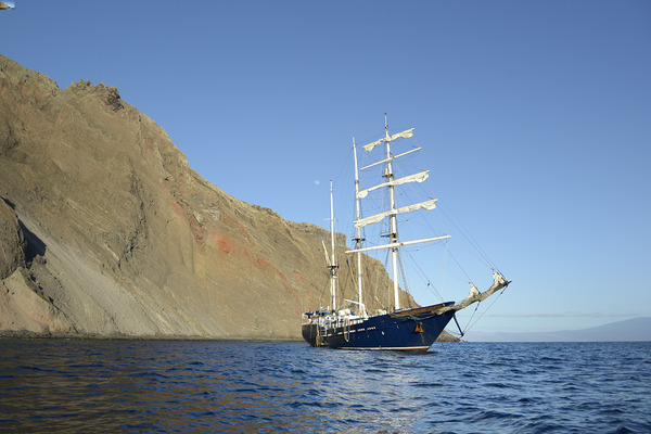 KO EC 12258 Digital Download