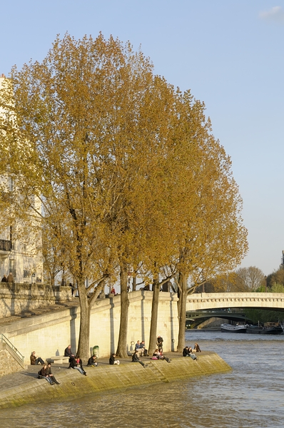 Enjoying a warm spring day on the banks of the Seine River - Paris Digital Download