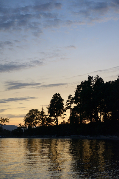 Silhouetted trees at sunset Digital Download