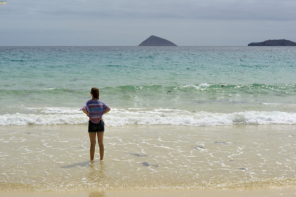 Looking out to sea at Punta Cormorant Floreana Island Galapagos Islands Ecuador Digital Download