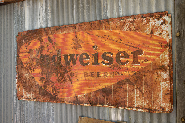 KO B40657 Digital Download