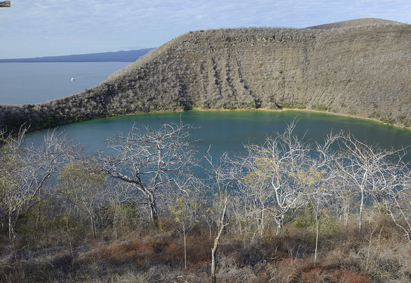 KO EC 11387 Digital Download