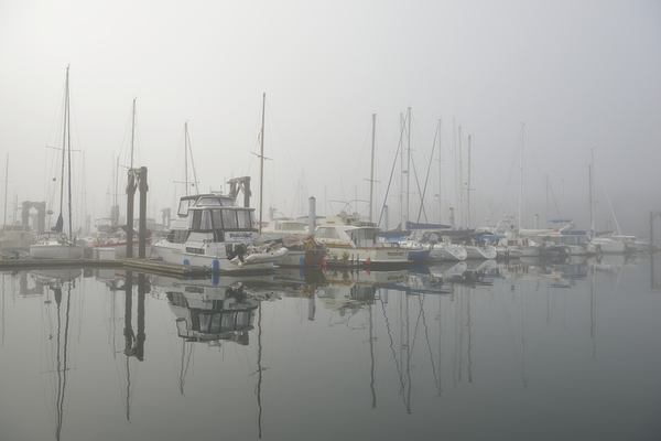 Foggy harbour - San Juan Island Digital Download