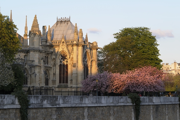 Notre Dame Cathedral Paris France Digital Download