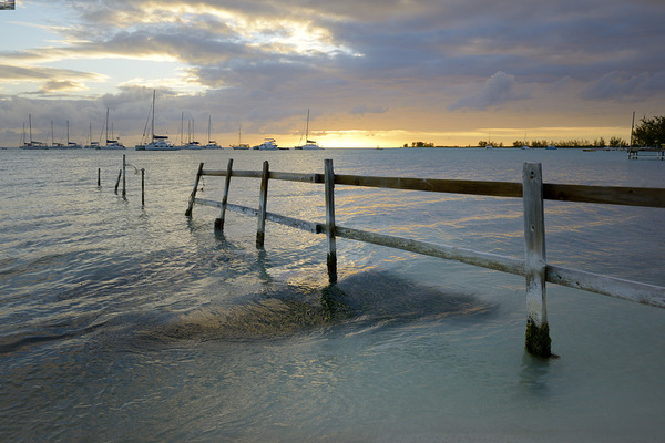 Old fence running into the ocean Digital Download