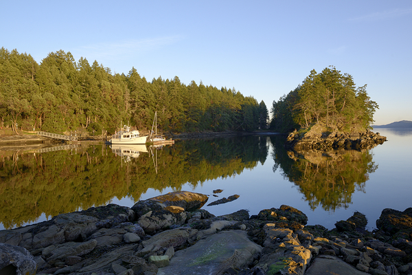 Pleasure boats at the wharf in Conover Cove Digital Download