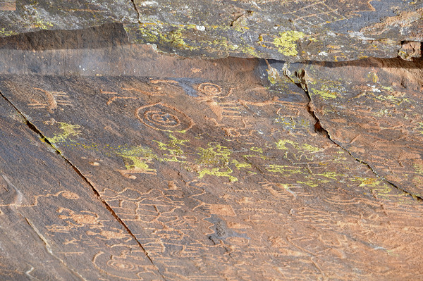 Ancient petroglyphs showcasing animal figures and geometric designs Crane Petroglyph Site Verde Valley Arizona Digital Download