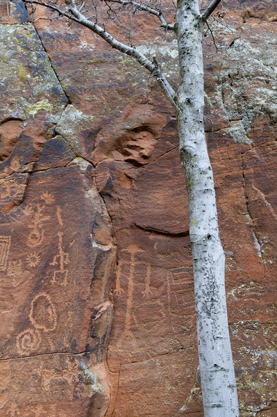 Ancient petroglyphs showcasing animal figures and geometric designs Crane Petroglyph Site Verde Valley Arizona Digital Download