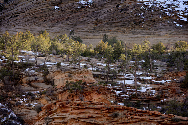 Zion National Park Utah Digital Download