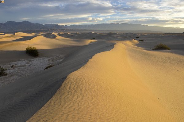 Mesquite Flat Sand Dunes at sunrise Digital Download