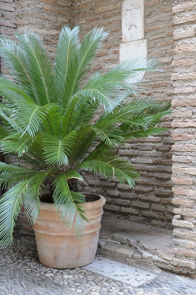 The Alhambra Granada Andalusia Spain Digital Download