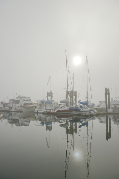 Fog in the harbour - San Juan Island Digital Download