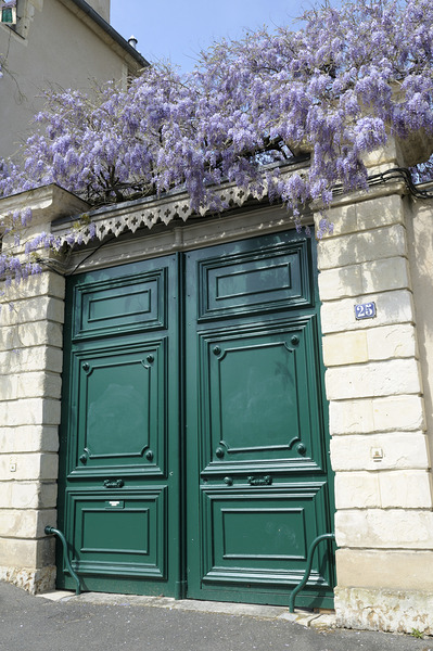 Green door with Wisteria plant in bloom. Nevers Nievre. France Digital Download