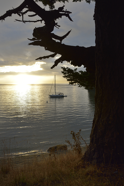 Calm sunset - James Island - San Juan Islands Digital Download