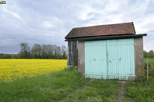 KO FR 08582 Digital Download